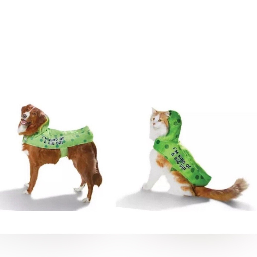 BOOTIQUE Pickle 🥒 pet costume size large NWOT